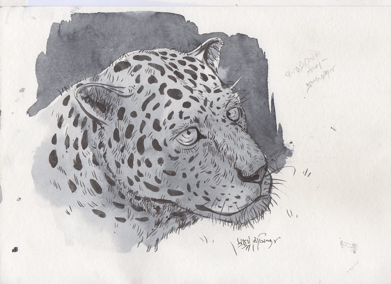 Sketchbook Story